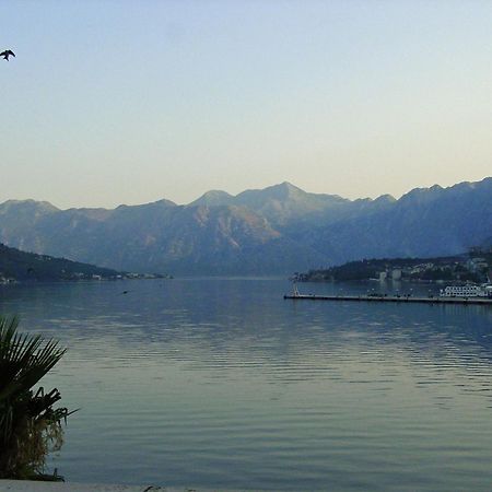 Apartment Mimosa Κότορ Εξωτερικό φωτογραφία