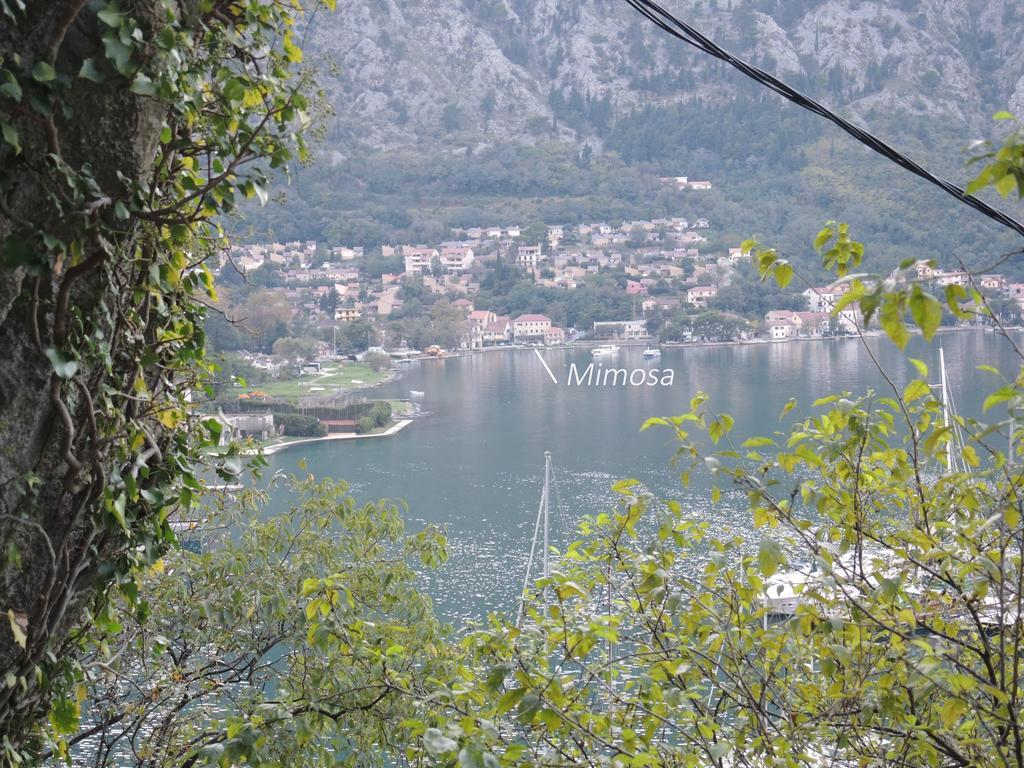 Apartment Mimosa Κότορ Δωμάτιο φωτογραφία