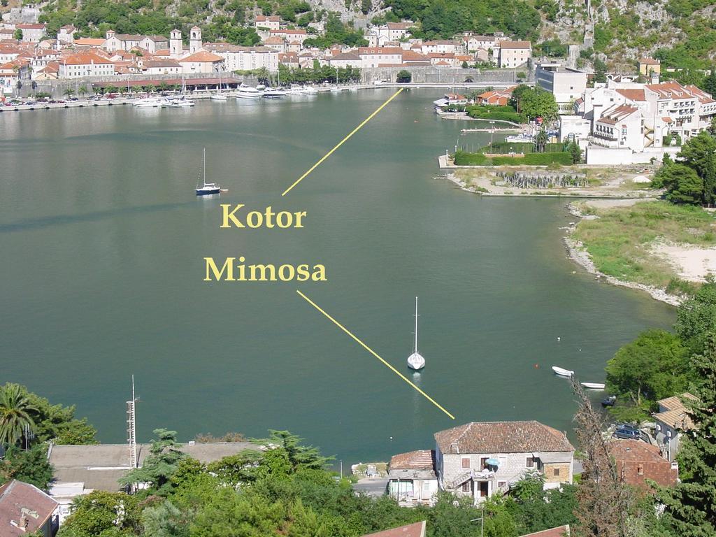 Apartment Mimosa Κότορ Δωμάτιο φωτογραφία